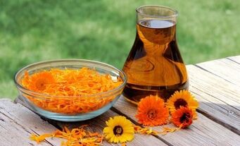 Calendula fir d 